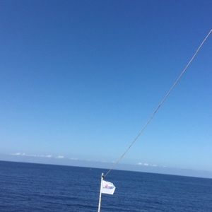 Meet your Posher, Ana